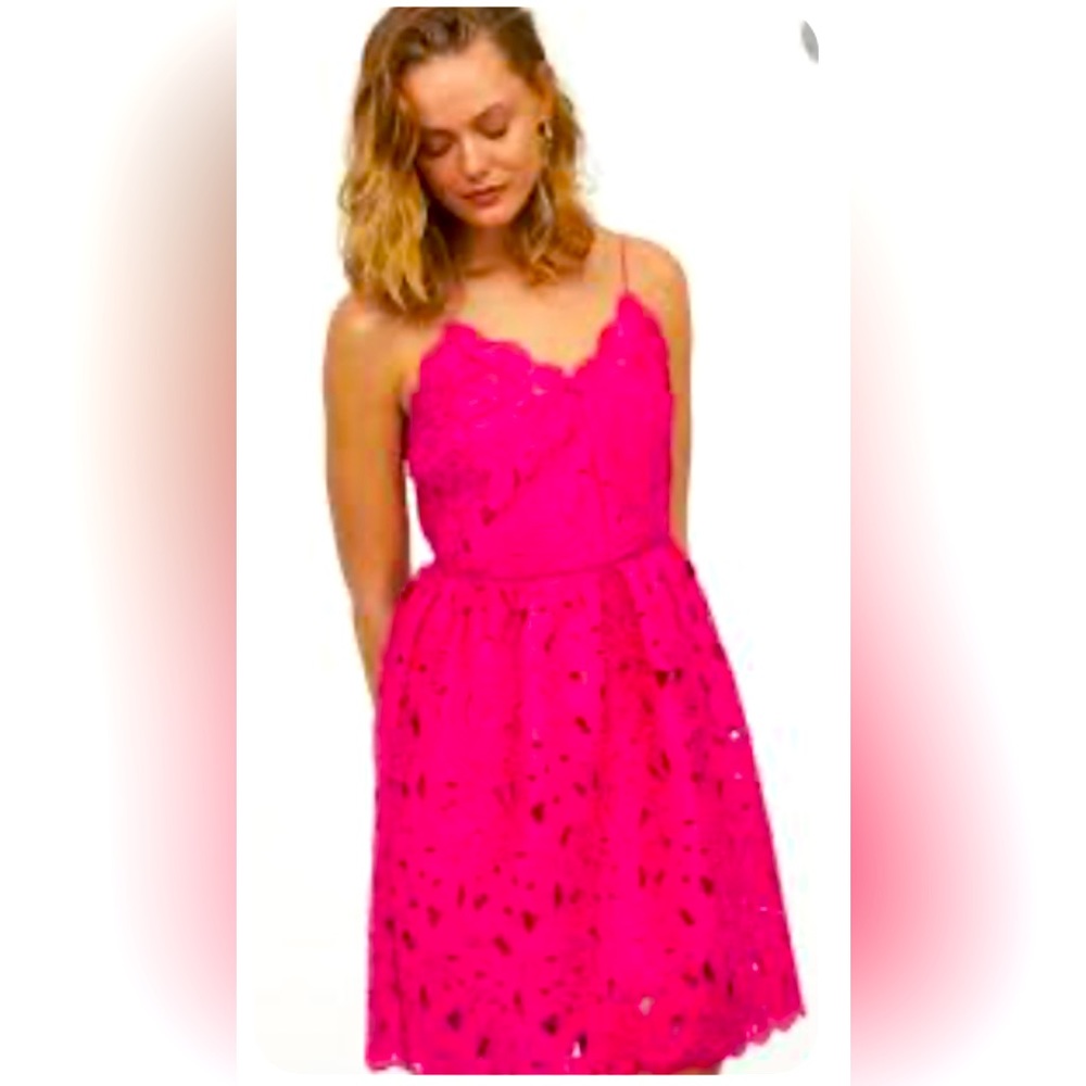NWT H&M Pink Embroidered Dress Size S
